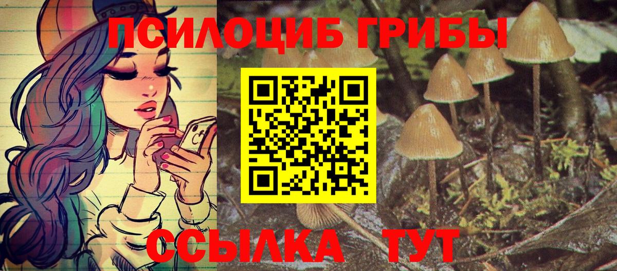Псилоцибиновые грибы MAGIC MUSHROOMS  Вход с VPN  Галлюциногенные грибы Magic Shrooms  Ливны 